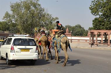 02 PKW-Reise_Mandawa-Bikaner_DSC2680_b_H600